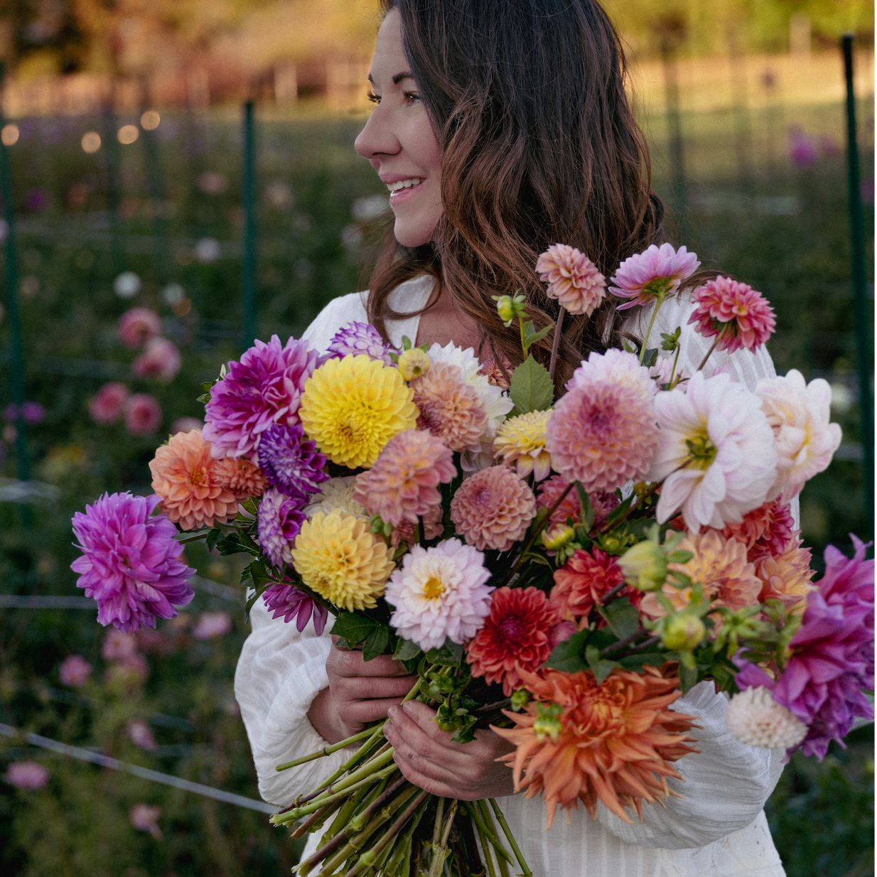 Living in the Aftermath of BRCA