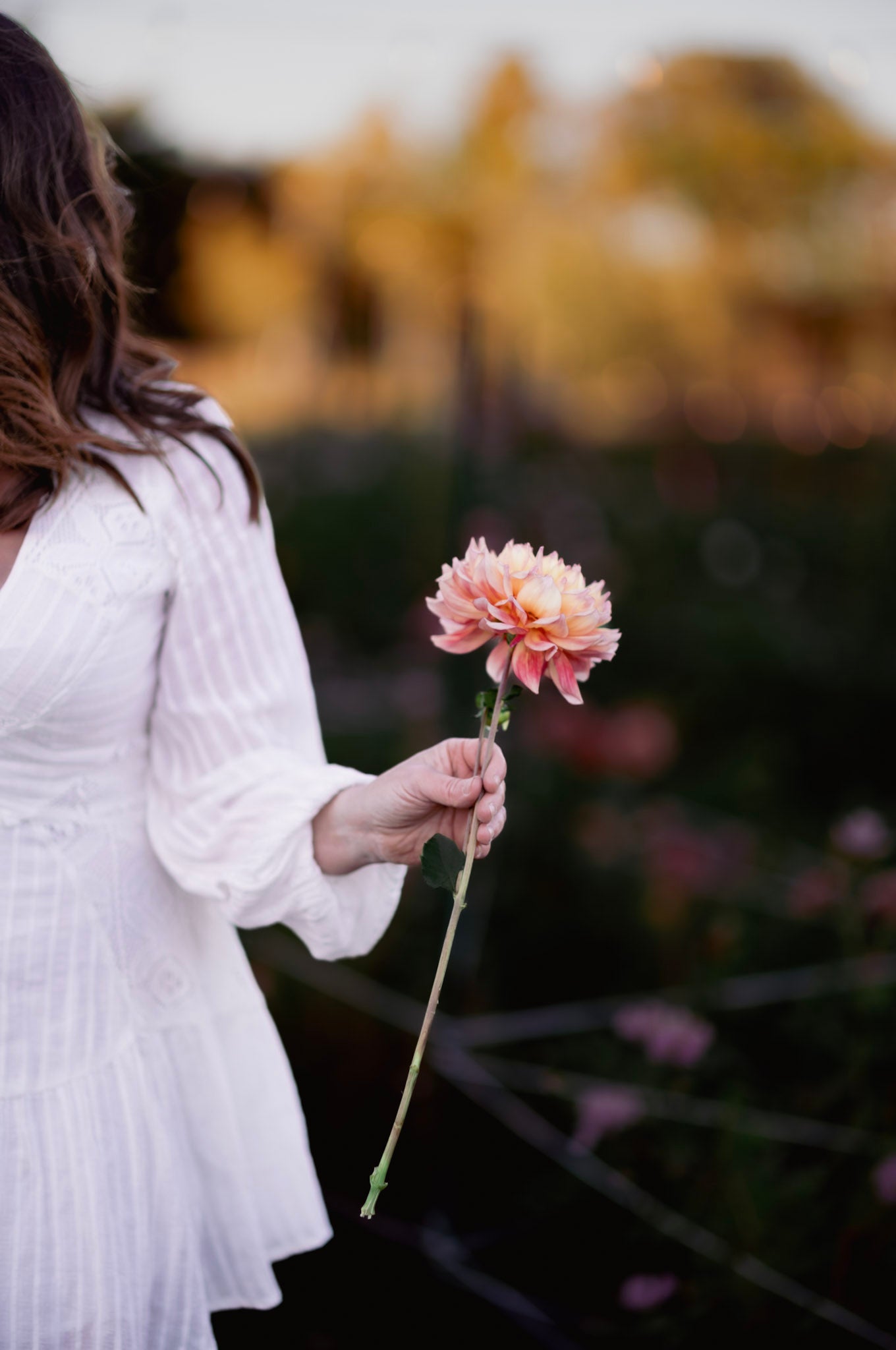 Shannon from Fox Cottage Farm holding a dahlia with a blurred natural background