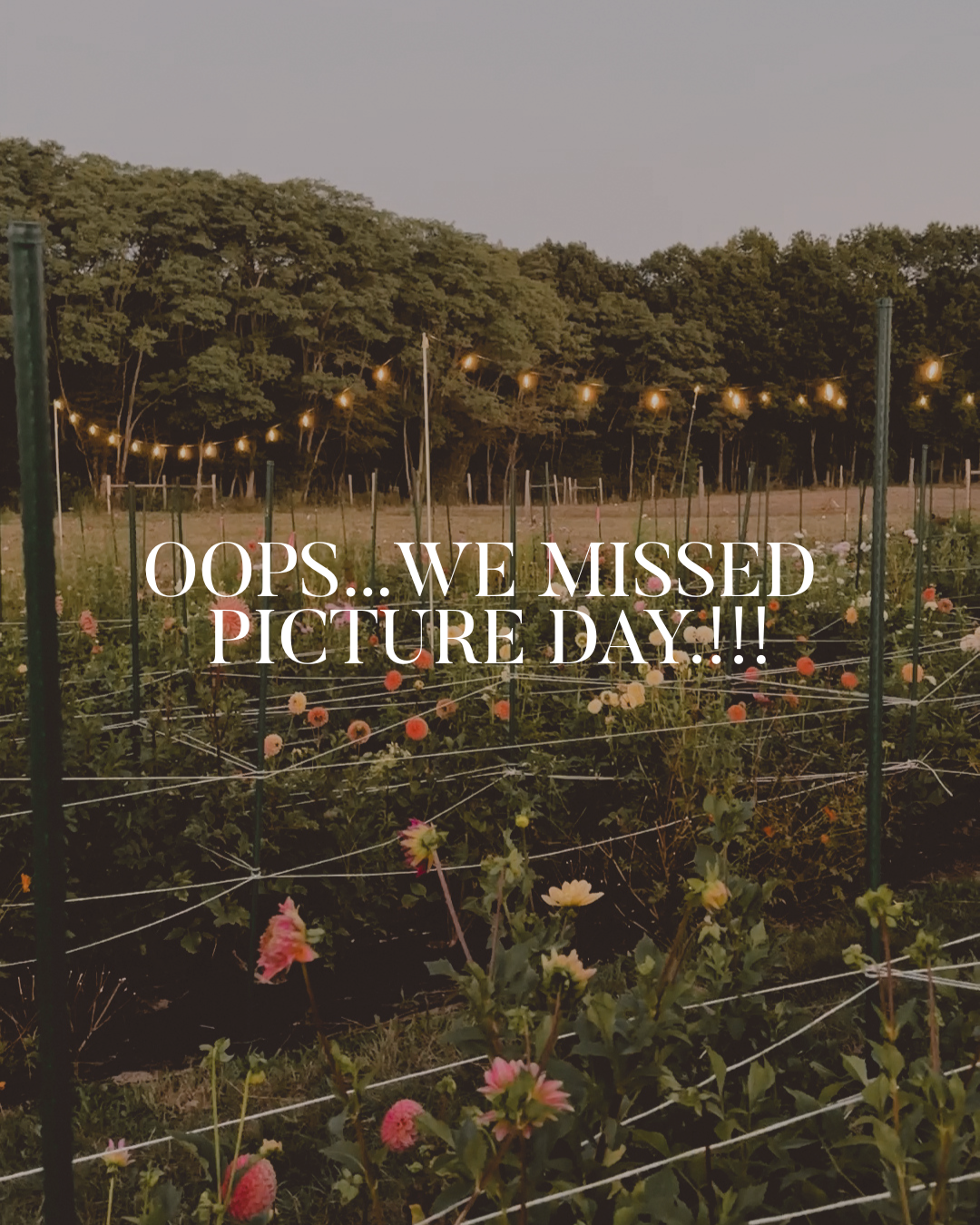 Garden with flowers and a fence, text overlay 'Oops... We Missed Picture Day!!!' against a dark filter.