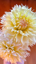 Close-up of a large, light yellow flower with a soft focus background