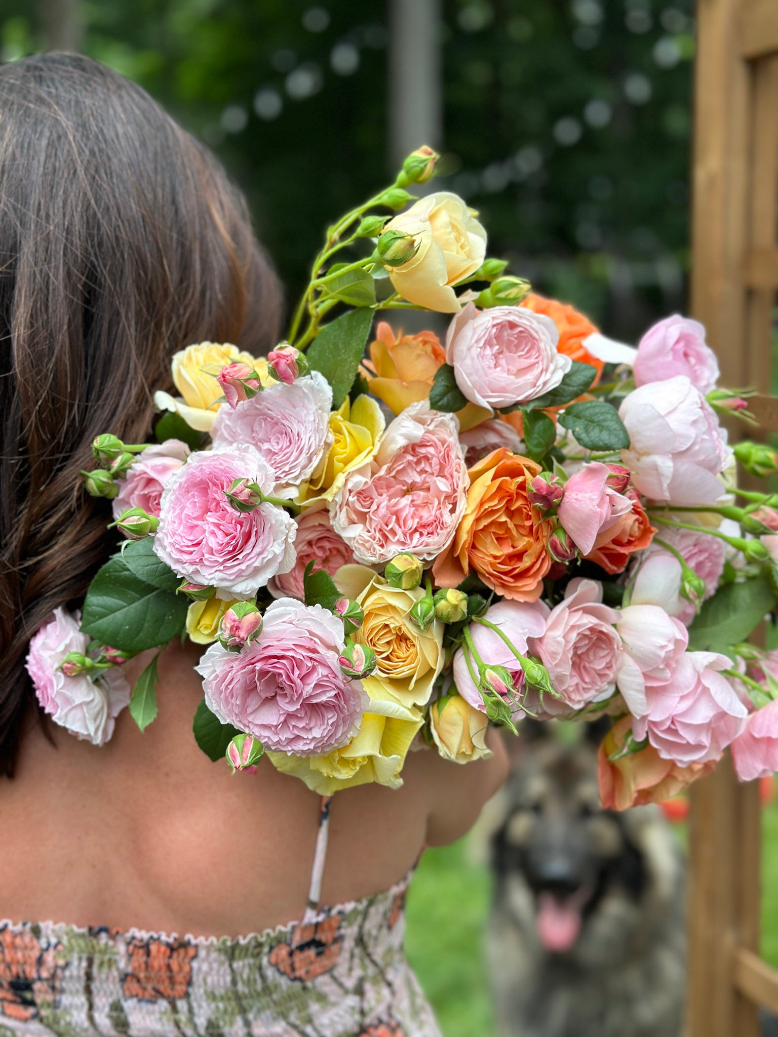 shannon wearing a floral dress and holding a large bouquet of roses over her shoulder with a dog in the background
