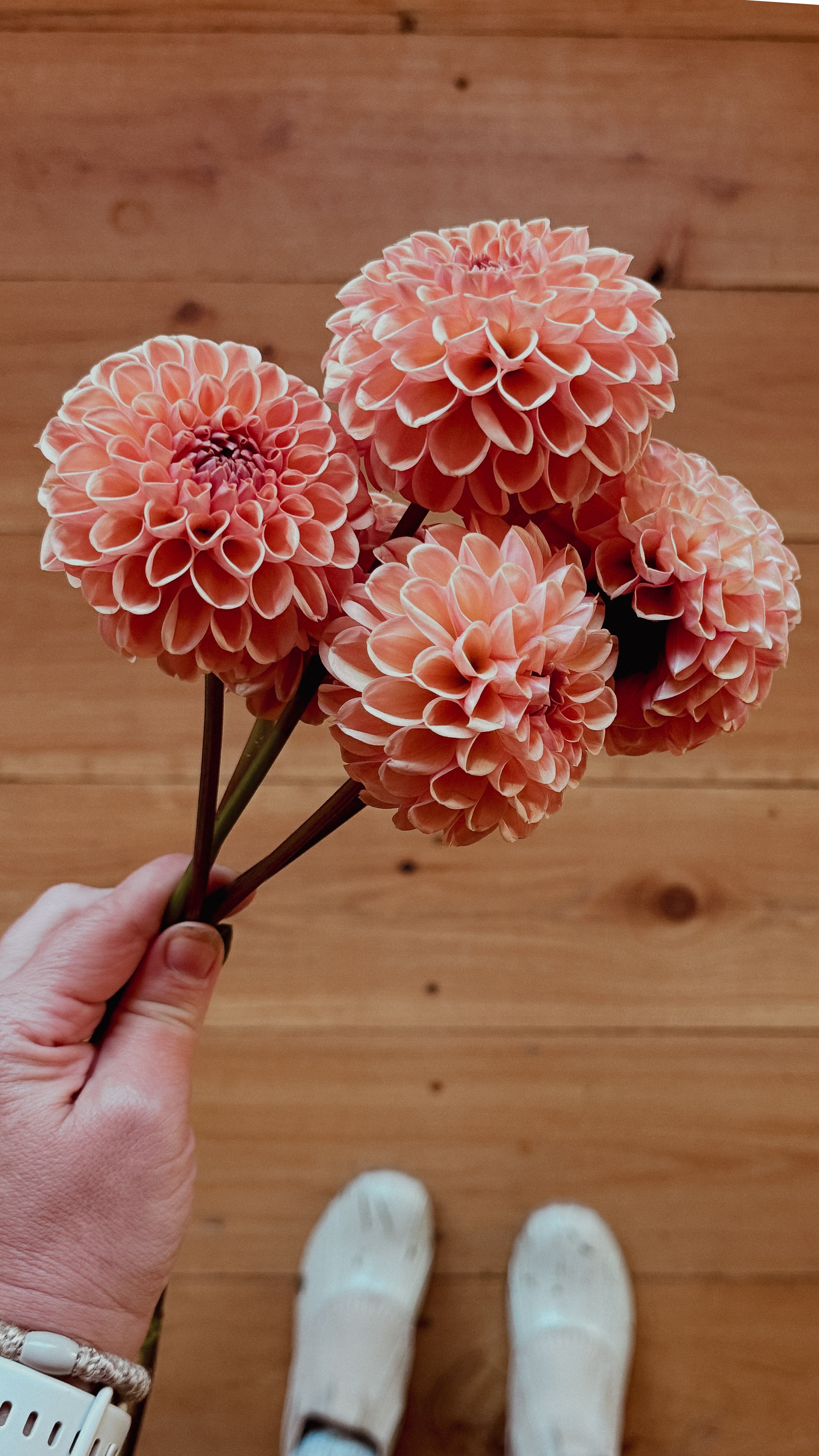 Hand holding a bouquet of peach-colored flowers on a wooden floor.